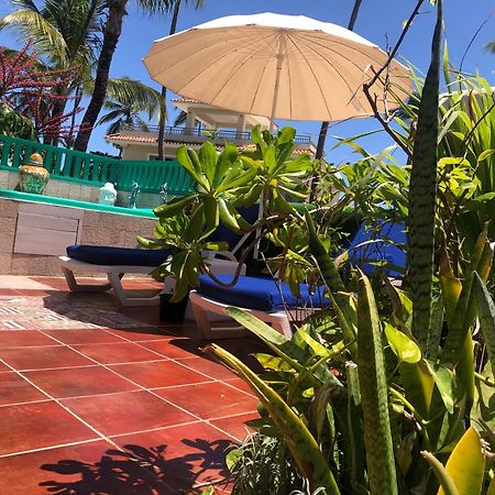 V&V Beach House بونتا كانا المظهر الخارجي الصورة